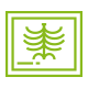 Grafik Übertragung